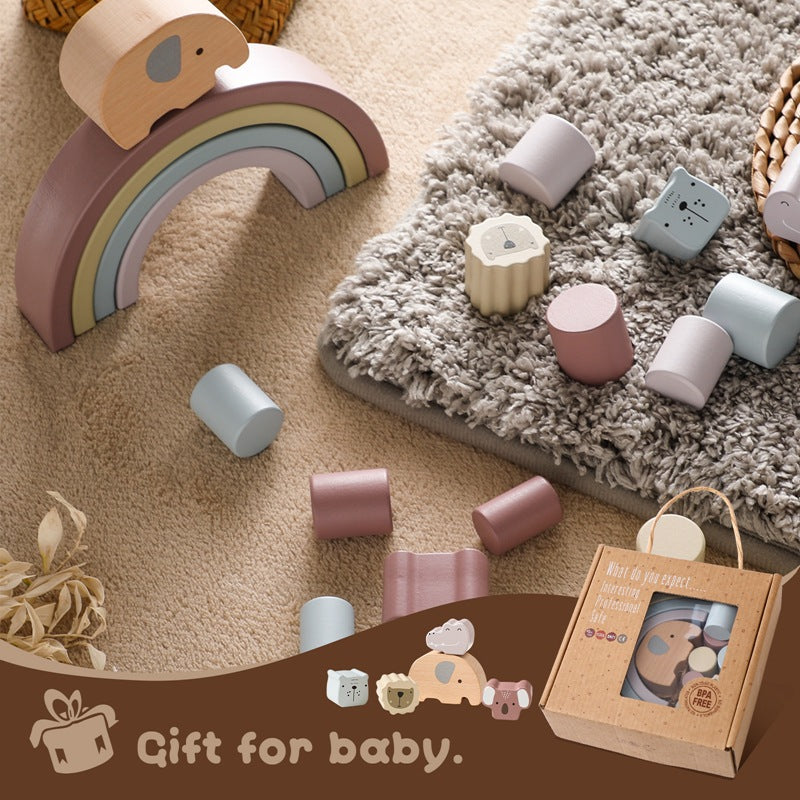 Wooden Balance Toys